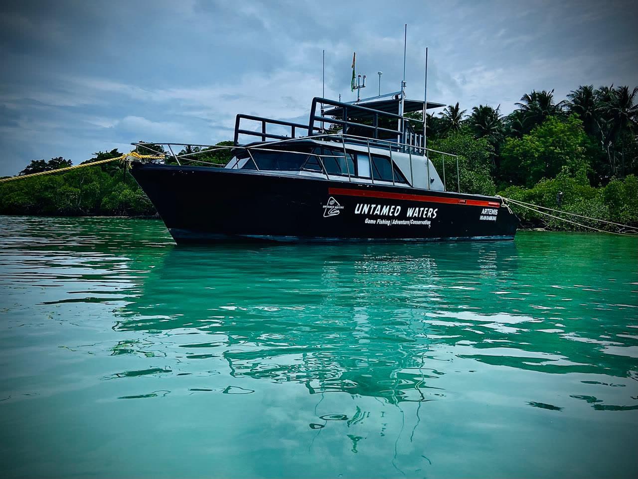 Private boat — Artemis