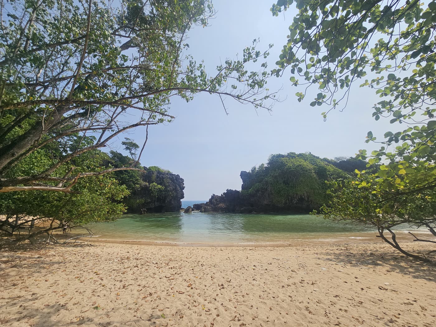 Wild nature in the Andaman Islands